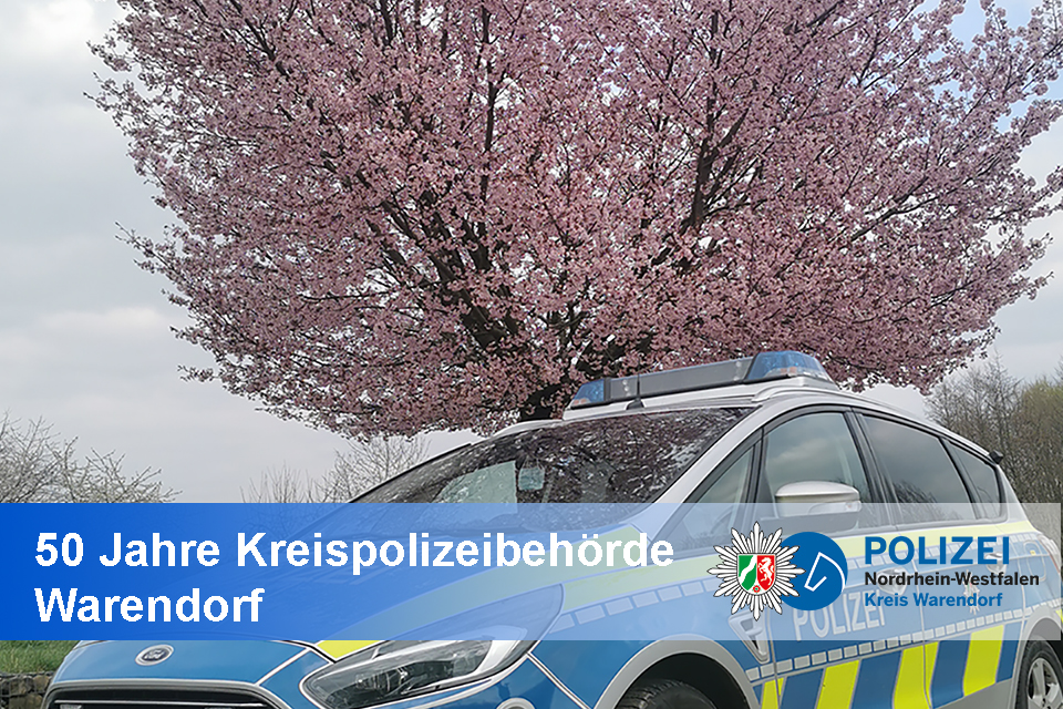 Streifenwagen vor einem Kirschbaum in Blüte